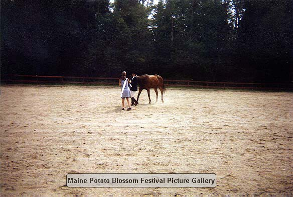 2001horseshow_05.jpg