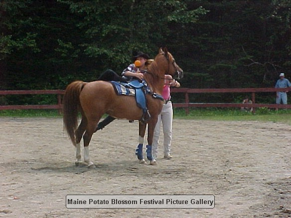 2001horseshow_09.JPG