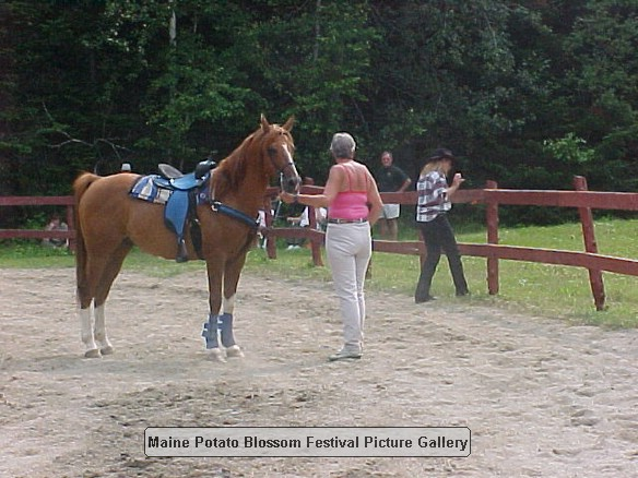 2001horseshow_10.JPG