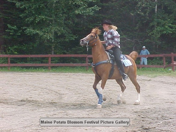 2001horseshow_11.JPG