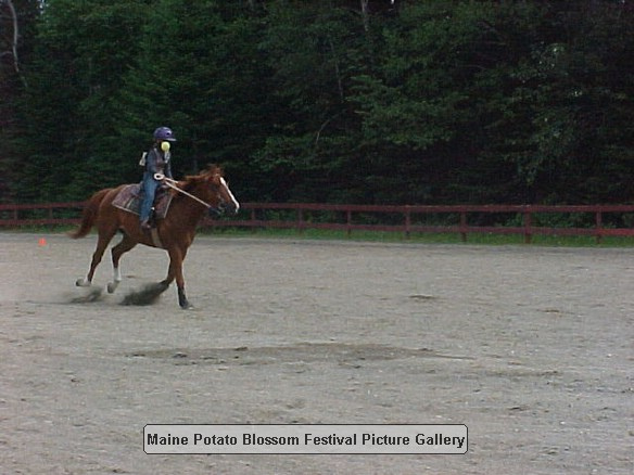 2001horseshow_12.JPG