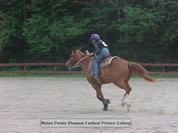 2001horseshow_13.JPG