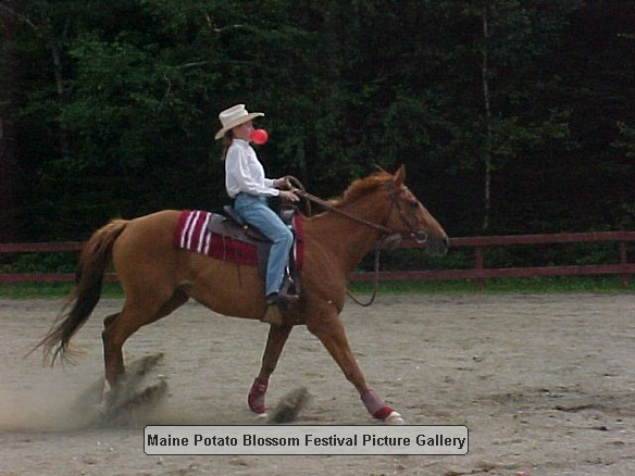 2001horseshow_14.JPG