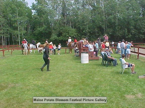 2001horseshow_15.JPG