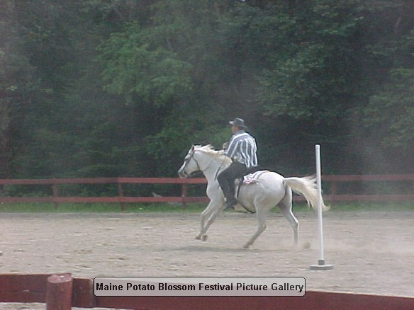 2001horseshow_16.JPG